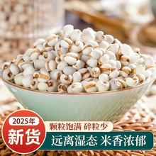 薏仁米薏米仁新货贵州大薏仁米配赤豆红豆五谷杂粮粗粮油三斤五斤
