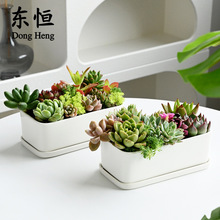 东恒 跨境简约白色多肉植物陶瓷花盆圆角深长方搭配底托zakka盆栽