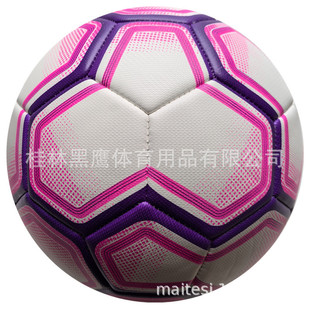 2025�¿�5̖�C�p�����w�������Ƥ�| ���Q�N����������