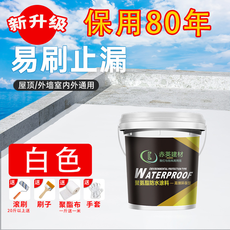 화이트 5kg (80년 유지보수) 특가