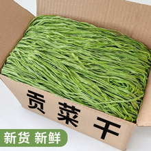 贡菜干干货一件代发主播同款贡菜苔菜脱水蔬菜干