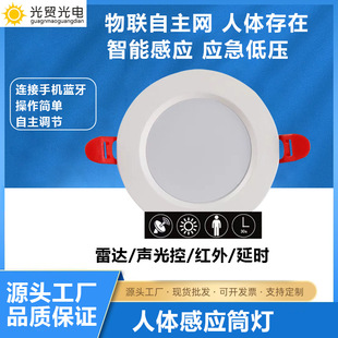 LED Intelligent Human Body Sensor Downlight Voice-controlled Embedded Radar Concealed Home Ceiling Light Corridor Aisle Spotlight