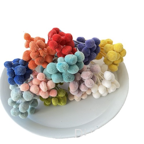 Gold Ball Everlasting Flower Bouquet Preserved Real Flowers DIY Flowering Material, Matching Flowers and Grass Home Decor Ornament DIY