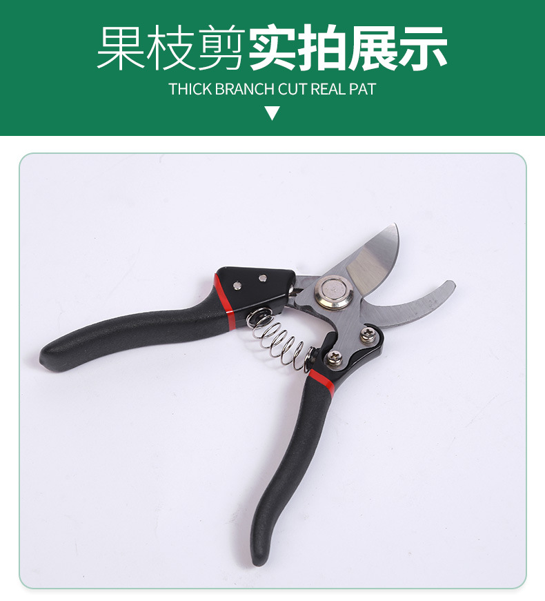10果枝剪_10