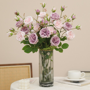 3�^�W˹͡õ����滨���� ��c�Y�ÿ͏d�����b�ˇ�[���zӰ����