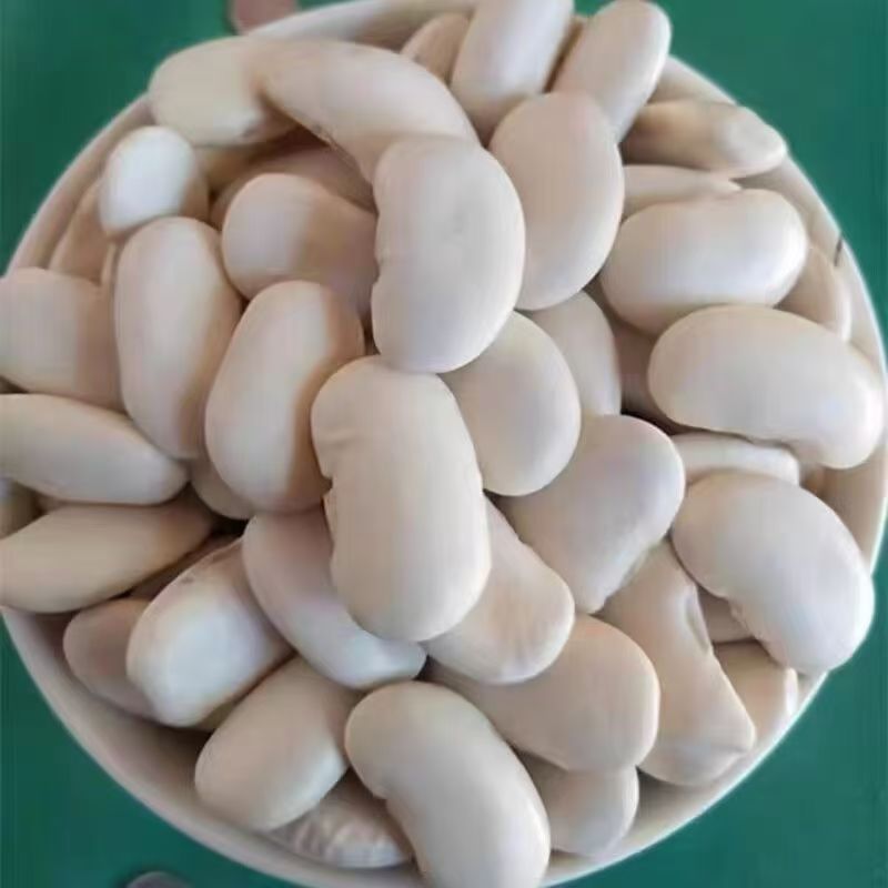 White Kidney Beans Bai Yun Dou 500g Dried White Beans Yunnan Natural Sun Dried Culinary Grain in use