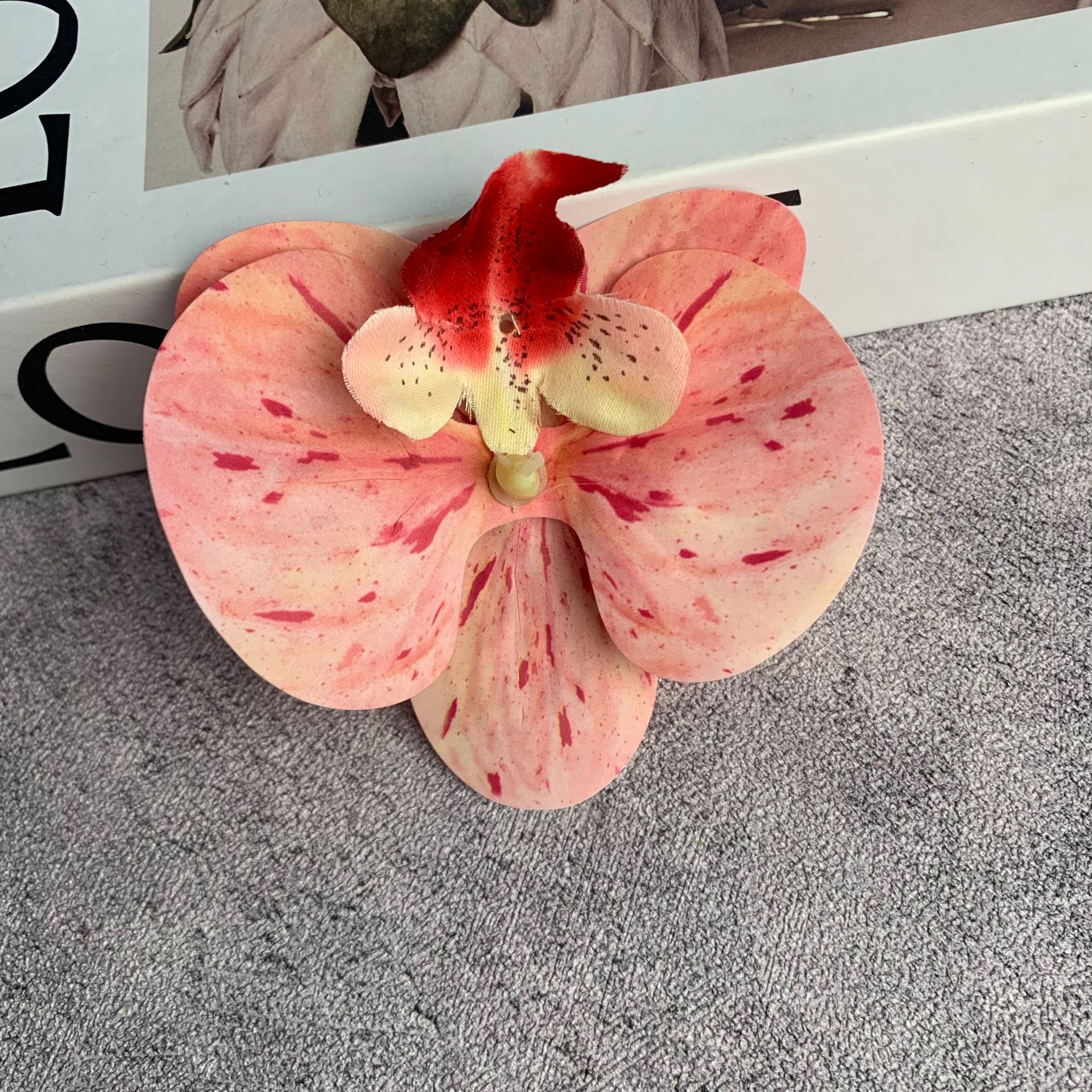 중간 호접란 머리 점박이 핑크