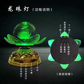 JSLZ龙珠灯