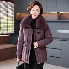 �������p�r�����ꋌ����q�����2025�¿�������ë�I��������