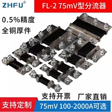 FL-2 0.5��75mVֱ�����������100A200A300A500A150A����ɘ����