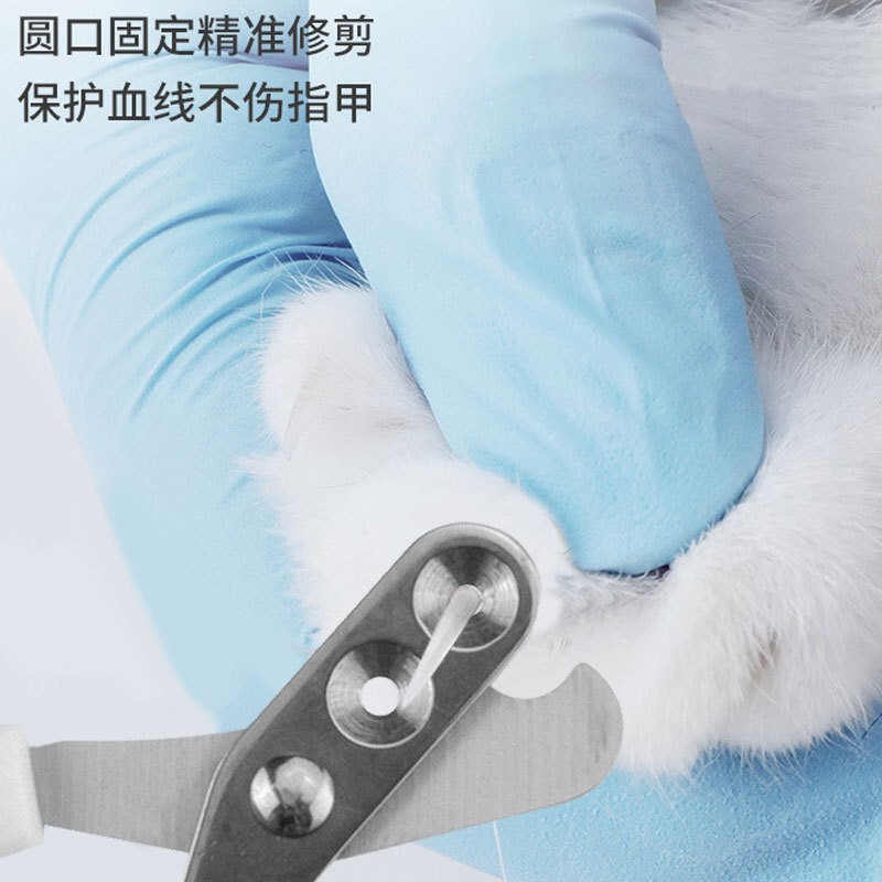 ペットの猫用品は猫の三点セットの爪を切って脱毛します。|undefined