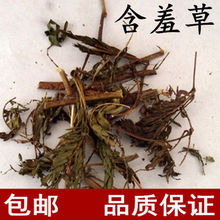 ��ș�ĺ��߲� ���]��ƷҰ�����߲� �Б��� �Ⱥ��� �³��