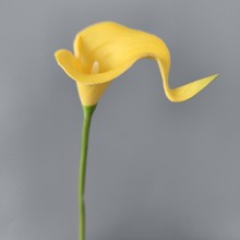 ���滨�ָ�PU������R��ɏ �F���ҾӘӰ��g��c�OӋ�廨�[�����l