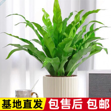 �B��ާ�F��ާ��ꎺ��B���҃��k�������ԃ����՚��^�~�Gֲ�쾰����
