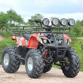 沙滩车;其他摩托车;其他电动车