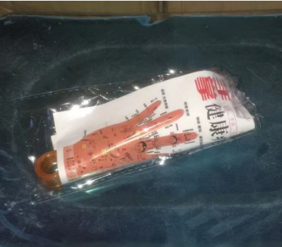 Con mapa de puntos de acupuntura (los dibujos están separados)