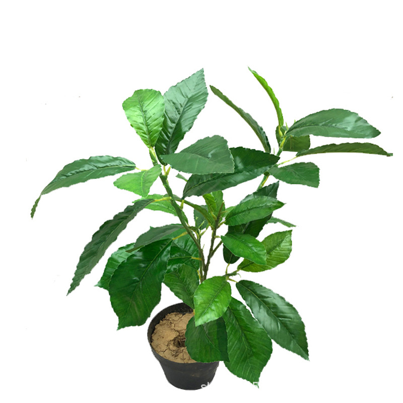 XRB-138 青杠叶五叉枝32叶3