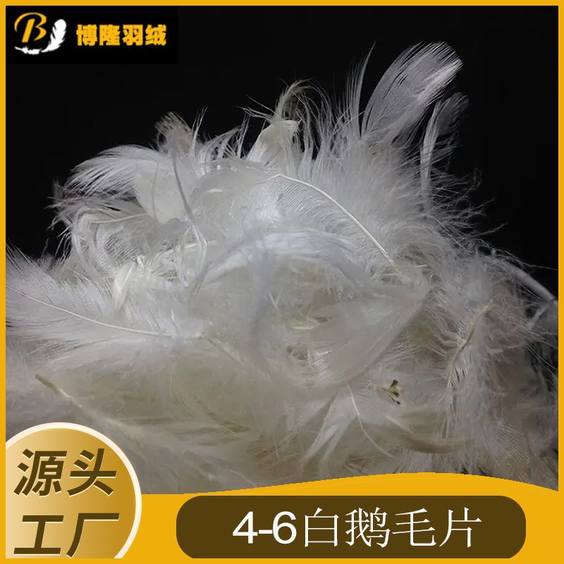 4-6白鹅毛.jpg