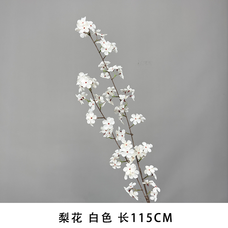 Pear blossom white