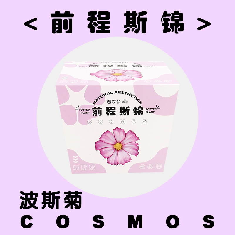 후쿠시 (코스모스)