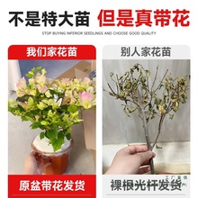 ����÷���Ԏ�������������ϴ��z�Ϙ��ذ��ļ��_���̨���ٻ���