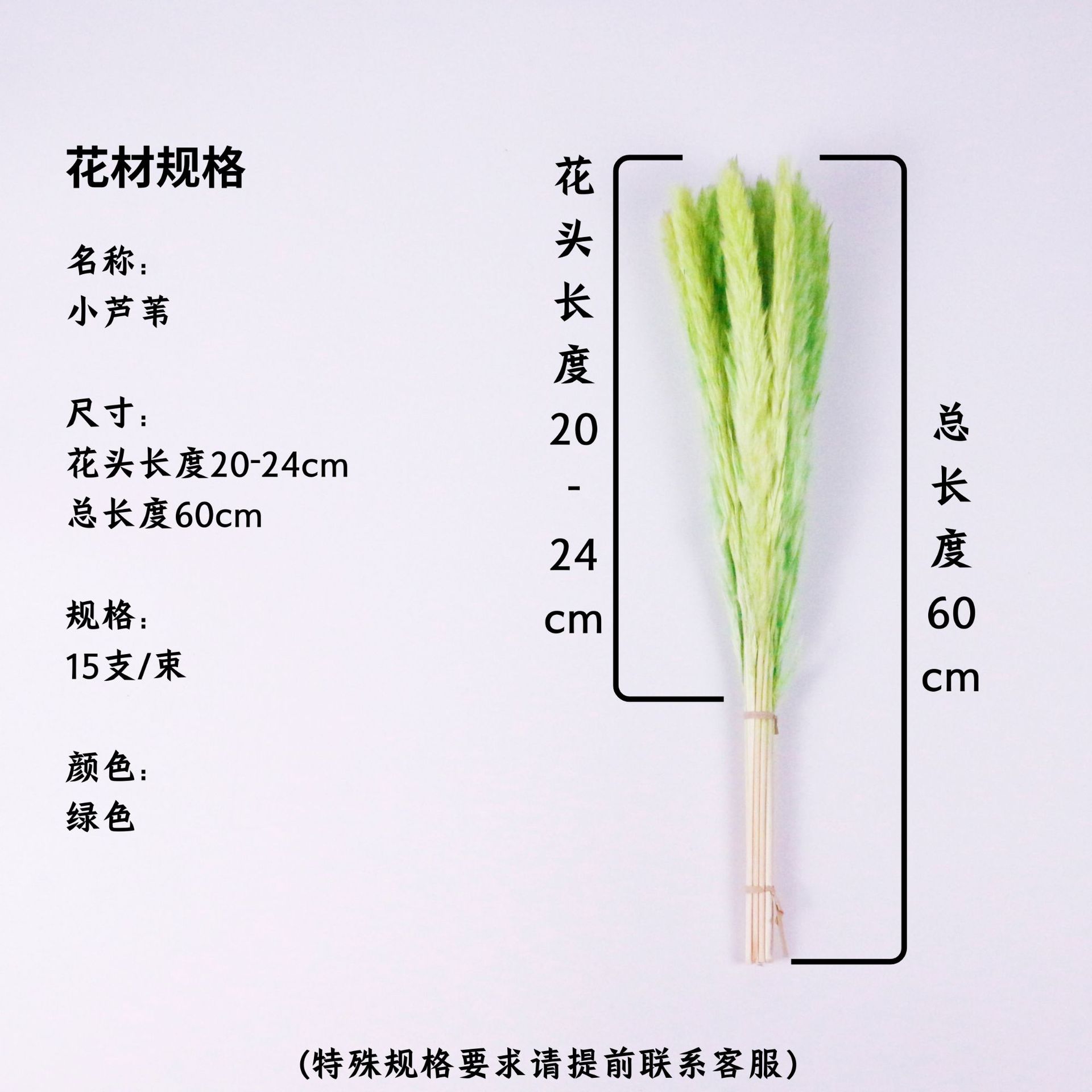 녹색 꽃 머리 20-24cm