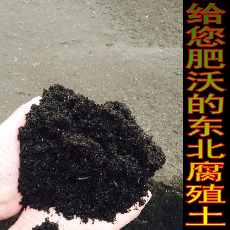 O1CN01yGOtUr2EE9UsbiFUU_!!2218234948712-