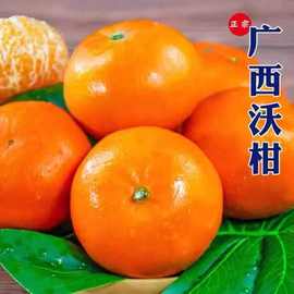 正宗广西沃柑斤新鲜水果当季整箱蜜桔柑橘砂糖橘子市甜蜜