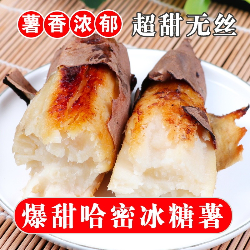 Shandong White Sweet Potatoes, Ice Sugar Sweet Potatoes, and Sweet Potatoes Are Delicious When Steamed or Roasted. Freshly Dug and Homegrown Shandong White Sweet Potatoes, Ice Sugar Sweet Potatoes, and Sweet Potatoes Are Delicious When Steamed or Roasted. Freshly Dug and Homegrown