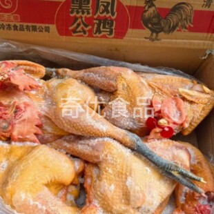 ɢ�B���_�u���P���u��ڹ��u���_�u���u 19��/�� ���u���l����
