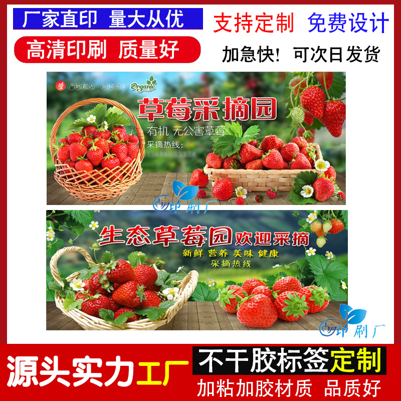 草莓标签贴定 制 奶油草莓不干胶篮子商标凤梨葡萄赣南脐橙贴纸印