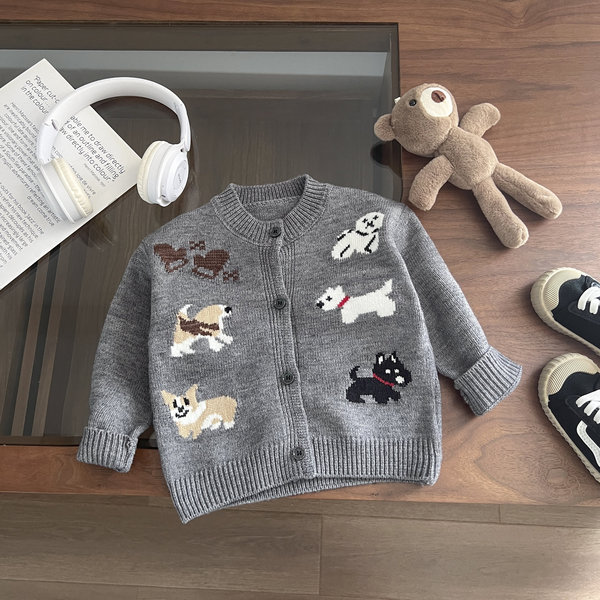Sweater for boys