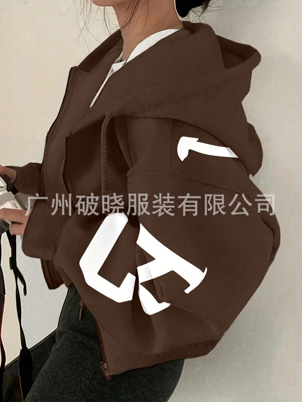 2025跨境外贸独立站亚马逊temu爆款抽绳休闲时尚字母卫衣|undefined