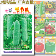 毛节瓜种子 约20粒 又名 台湾节瓜 粉皮毛瓜 迷你小冬瓜种子批发
