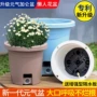 透气种植新款室外加仑盆