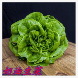 �׻��������˷N���̨�����׻�߲˷N�ӿڸкÿ������ЙC������