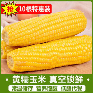 �����SŴ�������r��Ŵ���׼ӟἴʳ��մ��b�|����Ŵճ��һ�����l