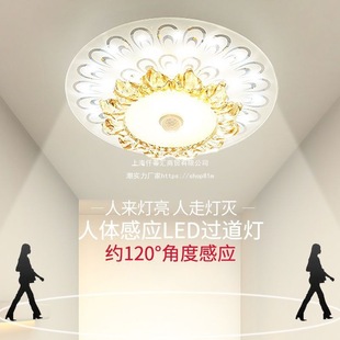 Induction Lamp Human Body Induction Aisle Light Corridor Light Home Night Passage Radar Smart Entrance Door Entrance Light