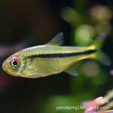 tħ~С͟~Ꭷ~߶˲ݸ~w~^p~l