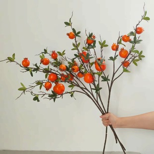 ��6��ʯ���֦������Ӵ����·�����Ӱҕ�Ĕz���߶��ӼҾ�ܛ�b��