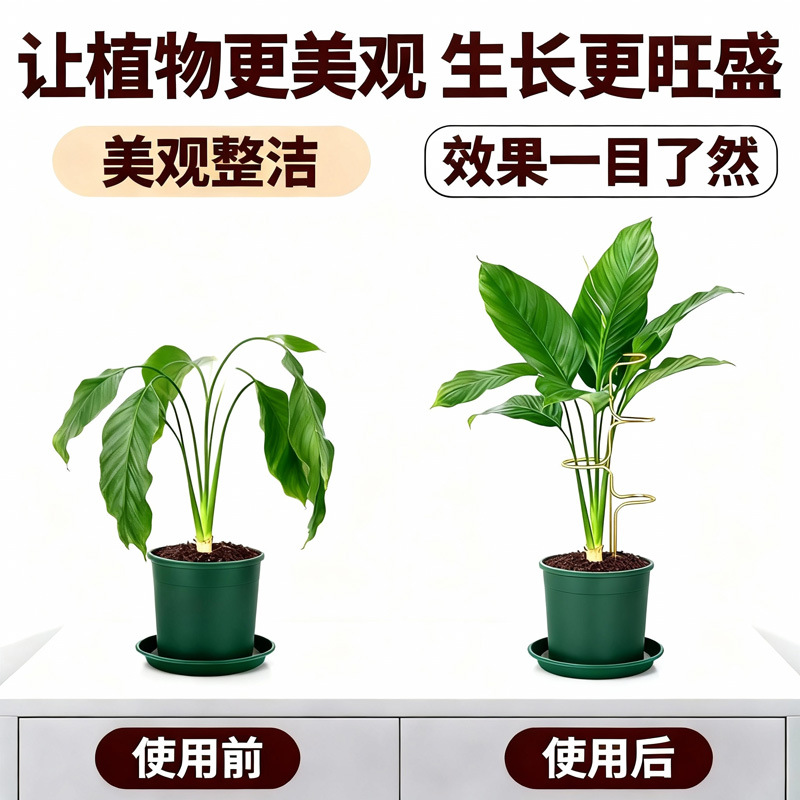 植物支撑架龟背竹防倒伏盆栽铁线莲支撑杆固定神器爬藤花架收拢架