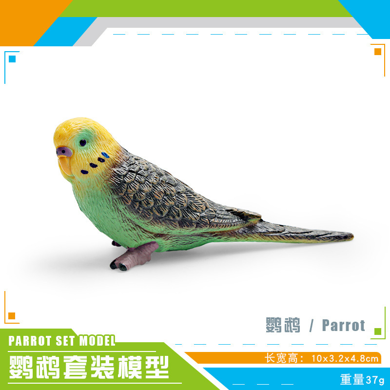 Exportación transfronteriza de simulación de pájaros modelo de papagaios peonía papaio de escritorio decoración estática juguetes