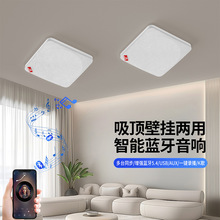 �羳������ßo���{���ڒ����������V���������ܵ���տ����