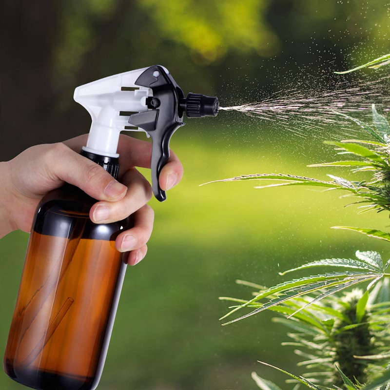 71SKln2-CIL._AC_SL1200_