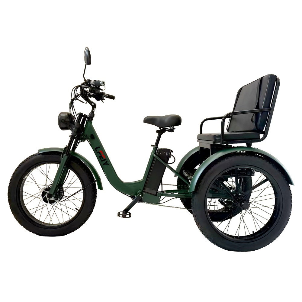 electric three-wheeled bike pedalled for elderly