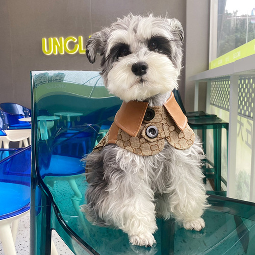 Cross-border foreign trade AliExpress Alibaba International Station wish cat small and medium-sized dog large cloak