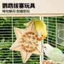 小太阳啃咬小鸟拔塞玩具