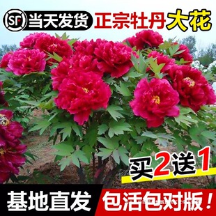 ���������҃ȇ���������ĵ�����_�������ļ���Ʒ��ꖻ�ѿ�����ذ�