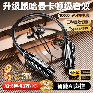 2024�¿��{�����C�o���������������{��6.0�m���A��С��OPPOVIV