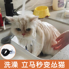 Pet Bathing Fixer Anti-Scratch Anti-Wild Movement Harness Leash Beauty Cleaning Bath Cat Fixing Collar